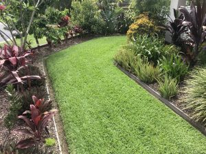 Garden Green grass | Best Lawn for Brisbane | Brisbane’s Best Lawns – Blog Featured Image