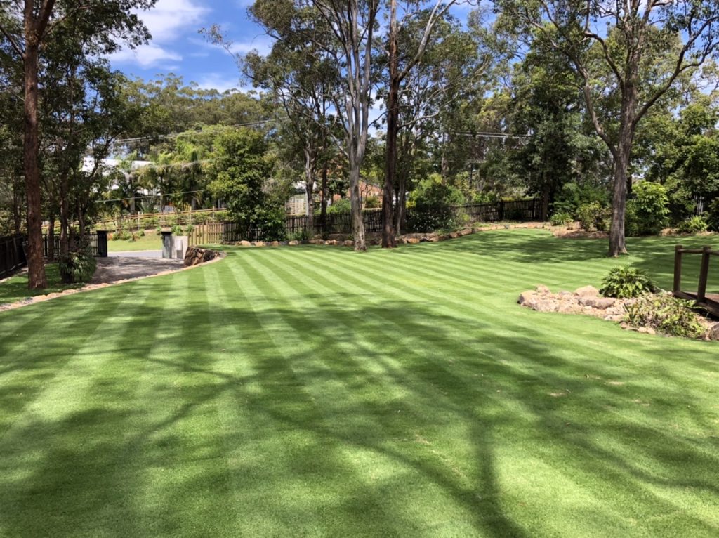Chartreuse green and fern green shaded lawn cut in horizontal stripes with trees in the background | featured image for Paul - Heritage Park.
