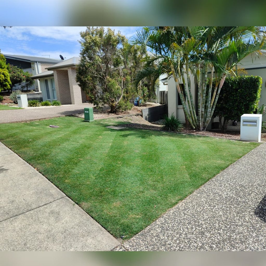 Small lawn cut with horizontal stripes to display two shades of green | featured image for Mark - Coorparoo.