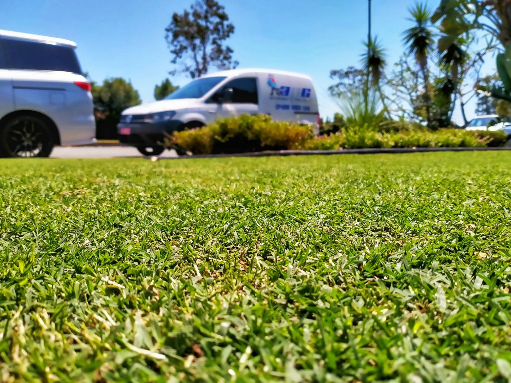 Close up of green grass in the foreground and two vehicles in the background | featured image for Adam - Upper Coomera.