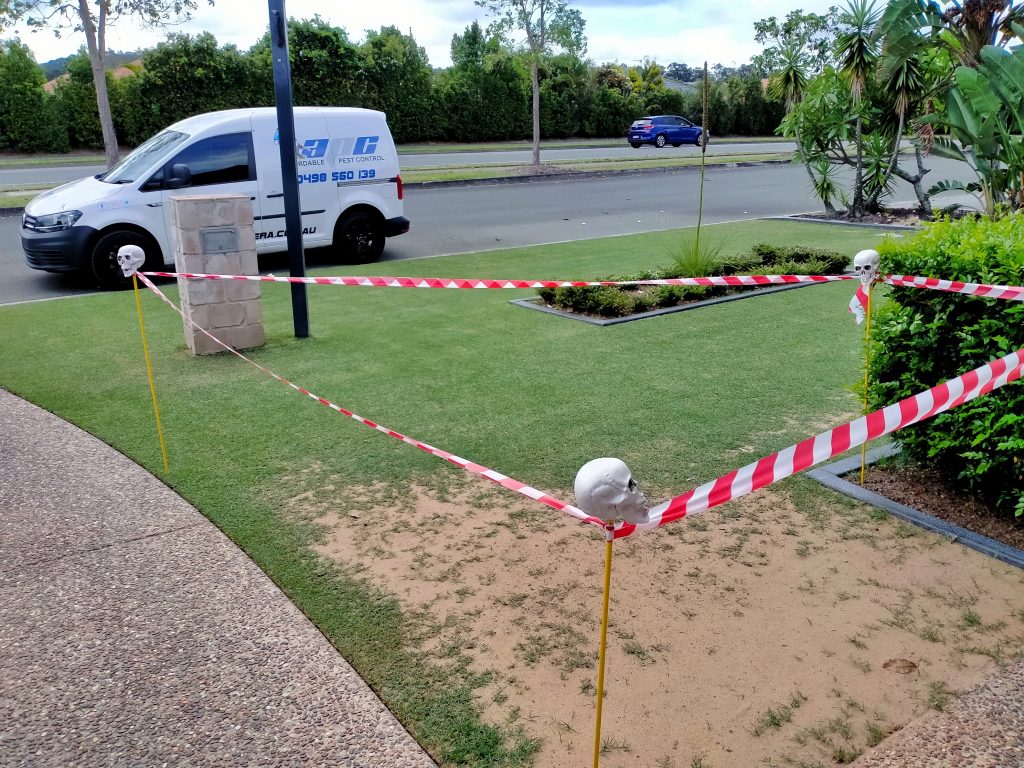 Brown patch of lawn marked off with tape | featured image for Adam - Upper Coomera.