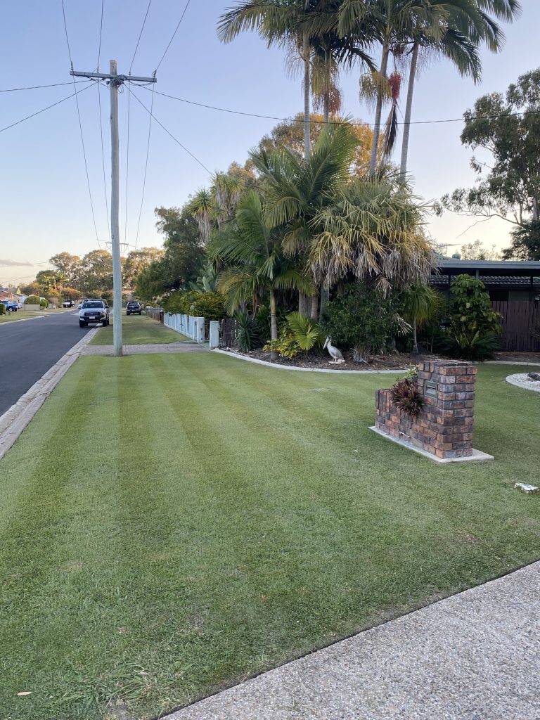 Palm trees and lawn | featured image for Daniel - Deception Bay.