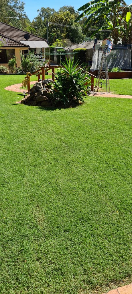 Healthy green lawn with orange brick path | featured image for Daniel - Victoria Point.