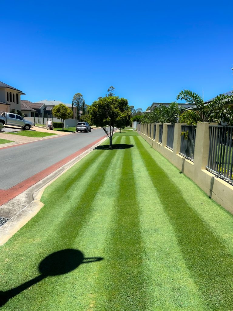 Long view of grass cut to display a dark shade and lighter shade of green grass | featured image for Daniel - Deception Bay.