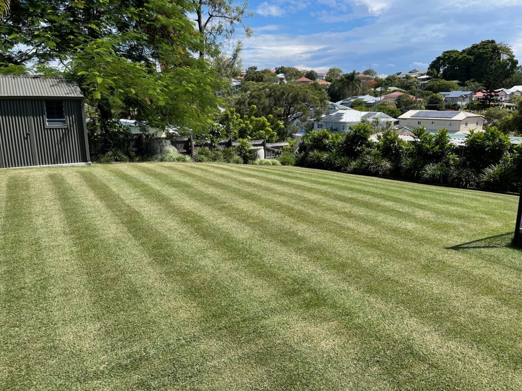 Vertical striped pattern cut into healthy green lawn | featured image for Mark - Coorparoo.