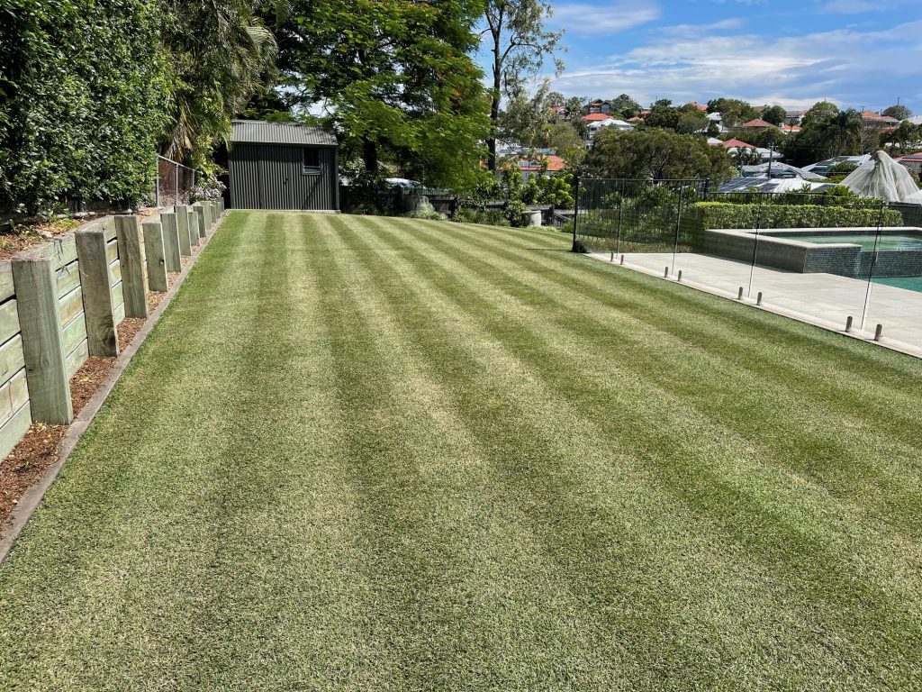 Lawn cut to display two shades of green horizontal stripes | featured image for Mark - Coorparoo.