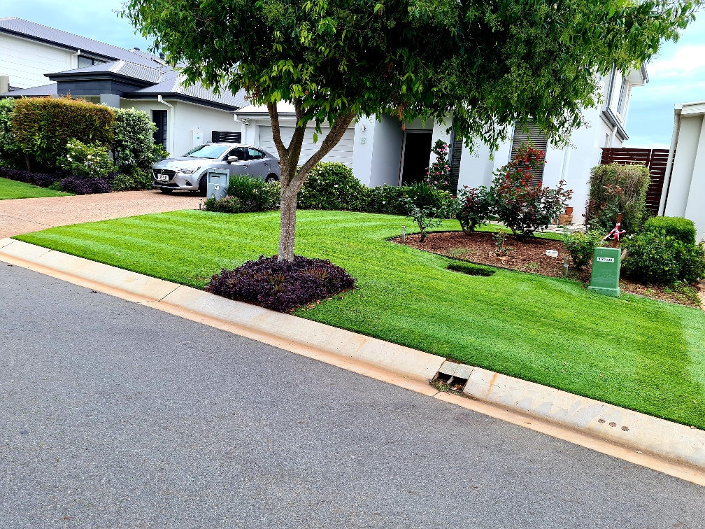 Best Lawn Competition Beautiful Lawns, Cutting Edge Lawn 038 Landscape Carson City