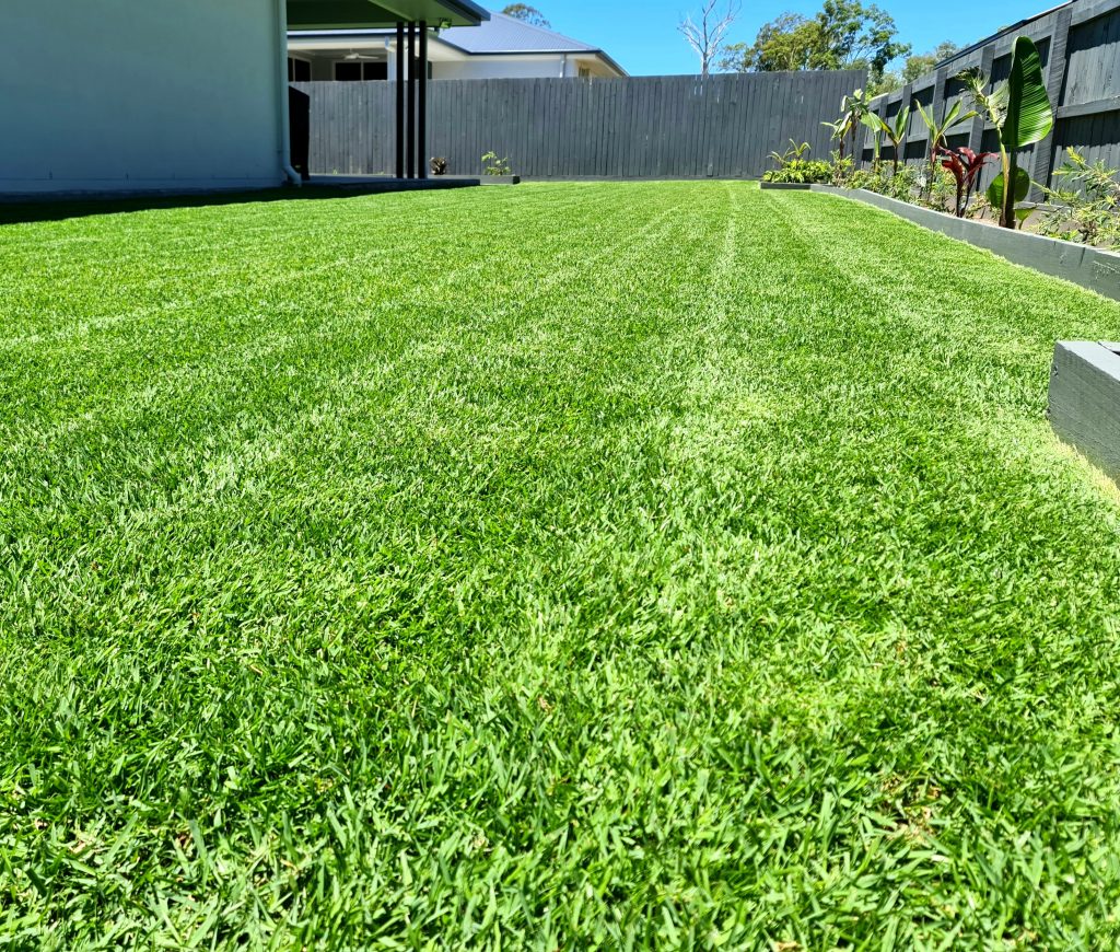 Close up of vibrant green residential lawn | featured image for Matt - Burpengary East.