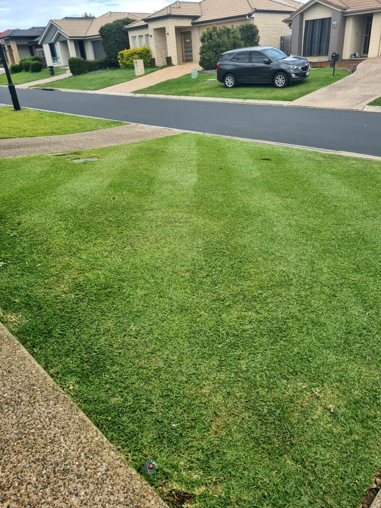 Small front lawn featuring pear green grass in a suburb | featured image for Mitchell - North Lakes.