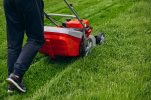 Tall and thick grass being cut with a push mower | featured image for A Lawnie's Guide to Landscaping.