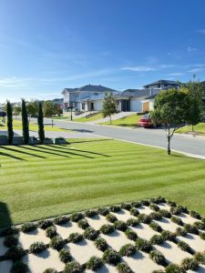 Photo of a beautiful front lawn with mower stripes on a sunny day | Featured Image for the Matt - Narangba Page by Brisbane's Best Lawns.